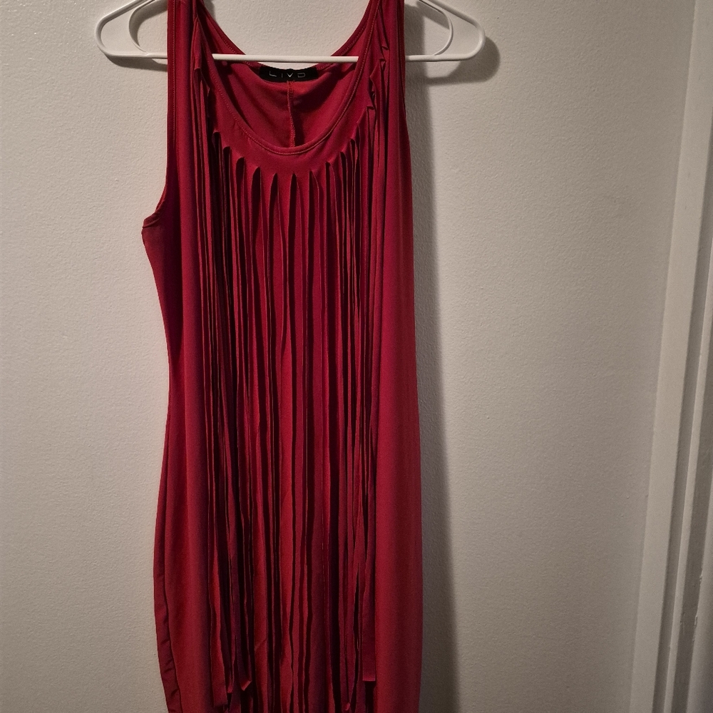 LIVID Red Sleeveless Mini Fringe Dress
